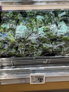 【スタッフブログ2726】本日のにしかわ（その1）