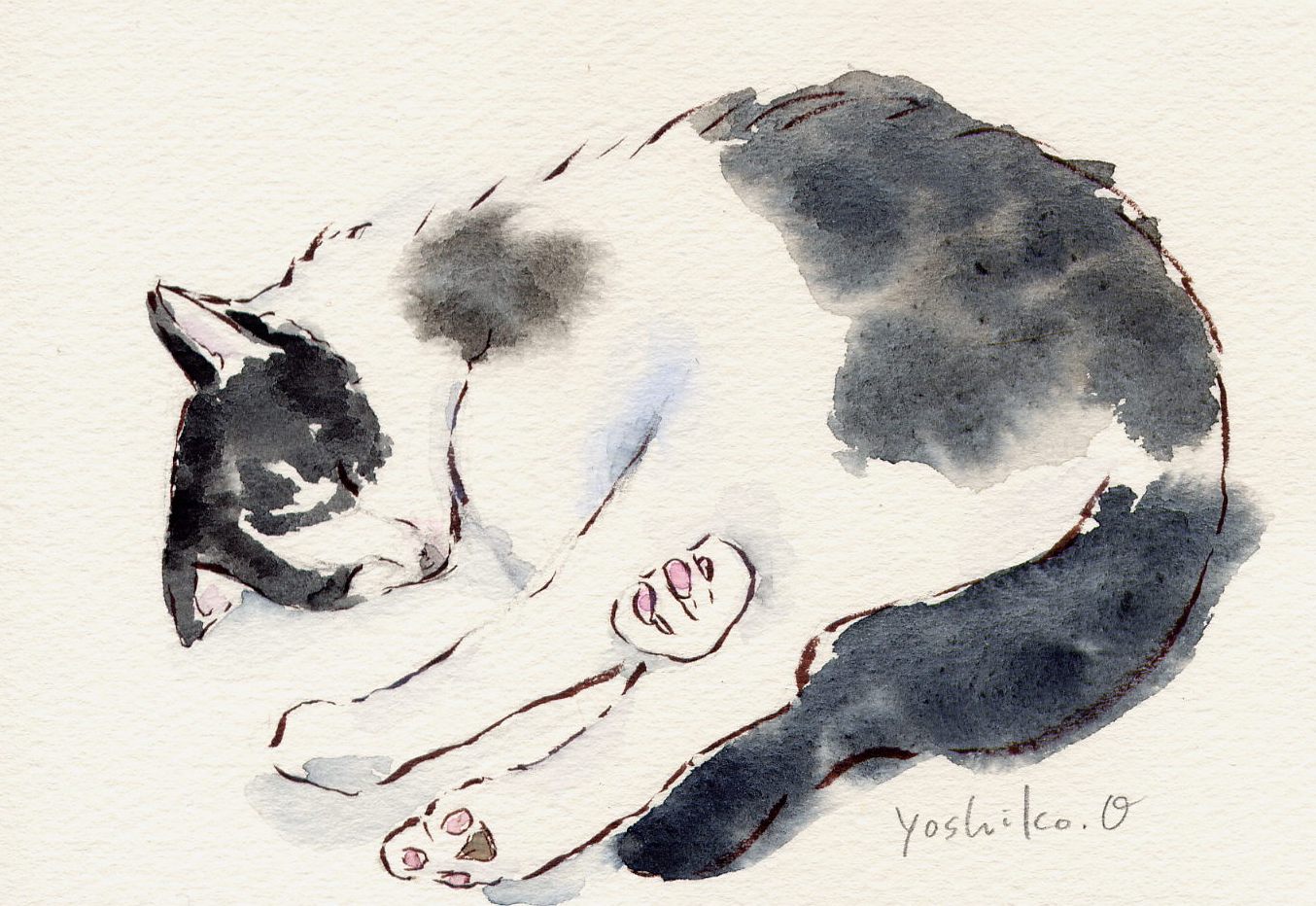 ねこ