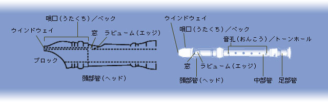 初めての人のための楽器解説詳細 Jeugia 楽器 ピアノ ギター ドラム 管楽器 トランペット サックス他 弦楽器 バイオリン チェロ他 京都 滋賀 大阪