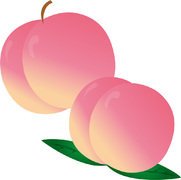 【くみブロ33】桃の日（その1）