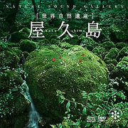 【くみブロ226】世界自然遺産「屋久島」（その1）