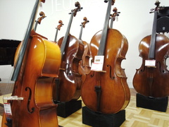 弦楽器展示会（その3）