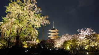 【くみブロ227】世界遺産ー真言宗総本山 東寺（その2）