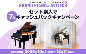 アビテックス＆GPセットでキャッシュバック（その1）