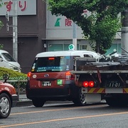 【スタッフブログ2255】本日のるいこ（その1）