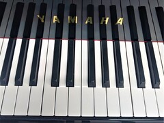 小学生（1～3年生）から始めよう！（その2）
