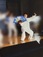 【アルプラザ京田辺】健康太極拳