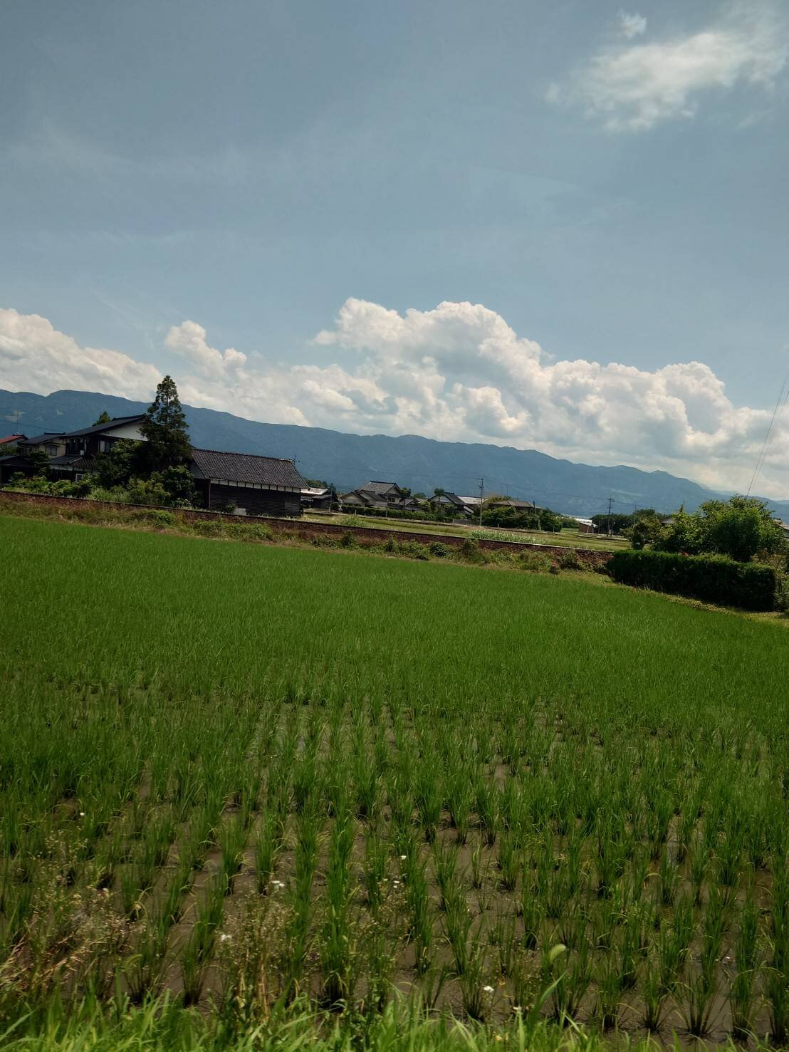 田舎.jpg