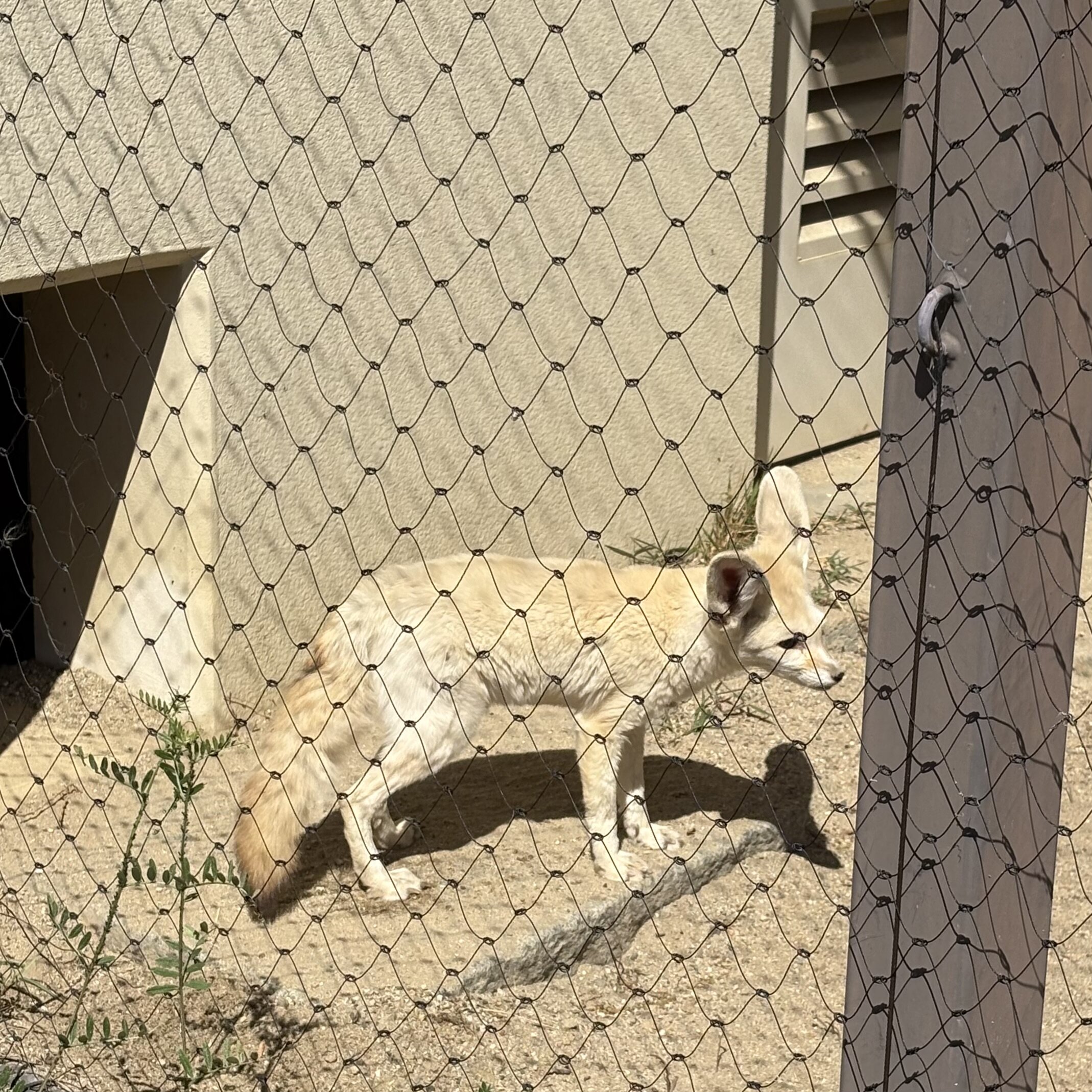 IMG_6337.jpeg