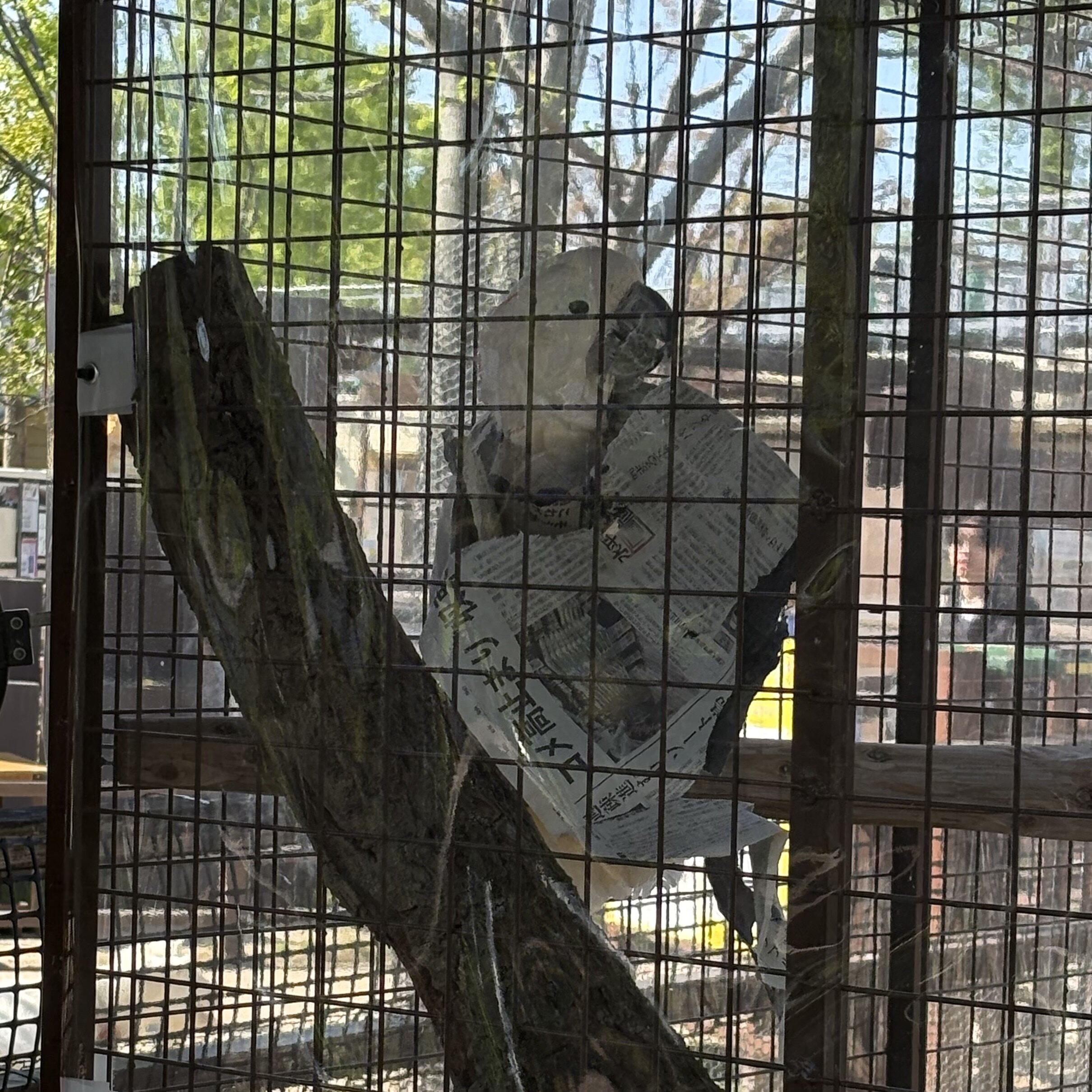 IMG_6366.jpeg