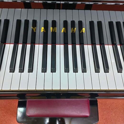 木津P鍵盤2-HP.jpg